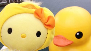 Hello Kitty Ugly Duckling With Giant Rubber Duck Small
