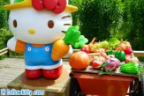 Hello Kitty Go Green Themed Farm Hong Kong Small