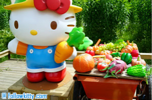 Hello Kitty Go Green Themed Farm Hong Kong Small