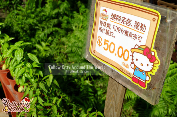 Products for selling in Hello Kitty Go Green Organic Farm