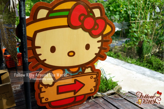 Hello Kitty Go Green Organic Farm