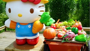 Hello Kitty Go Green Themed Farm Hong Kong Small