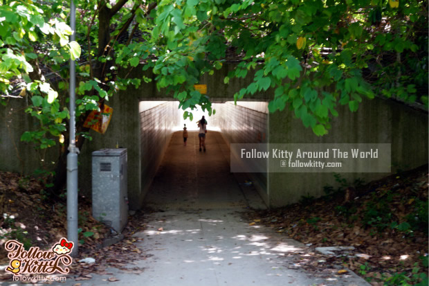 A little underground tunnel